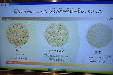 2022-10-10_10-32-51_000.jpeg