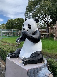 2022和歌山 (96).jpeg