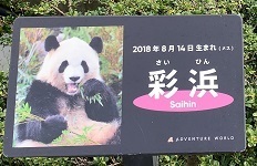 2022和歌山 (98).jpeg