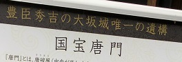 45 (24).jpeg