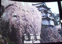 DSCF0141.JPG