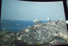 DSCF0143.JPG