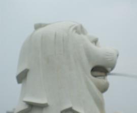 DSCF1185.jpg