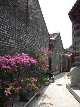DSCF2571.JPG
