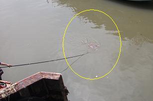 DSCF2586.JPG