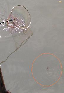 DSCF2587.JPG