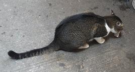 DSCF2753.JPG