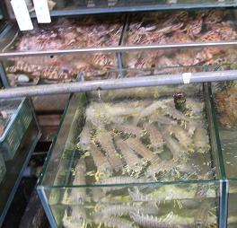 DSCF2838.JPG
