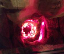 DSCF3153.JPG