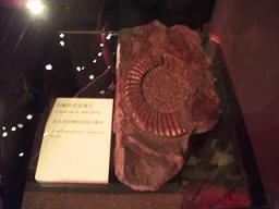 DSCF3154.JPG