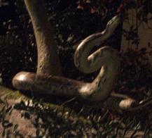 DSCF3163.JPG