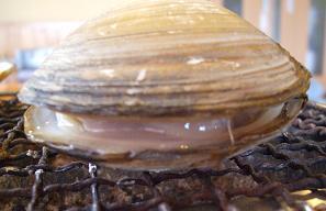 DSCF8003.JPG