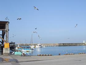 DSCF8878.jpg