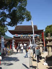 DSCF9012.jpg
