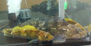 DSCF9370.JPG