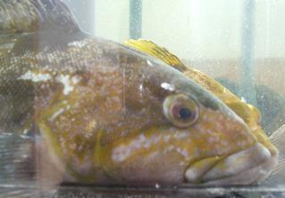 DSCF9371.JPG