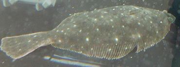 DSCF9372.JPG