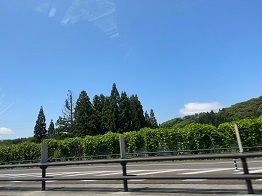 チームS東北旅2023 (269).jpeg