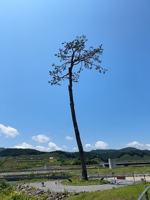 チームS東北旅2023 (291).jpeg