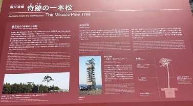 チームS東北旅2023 (298).jpeg