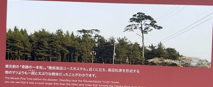 チームS東北旅2023 (300).jpeg