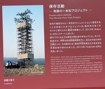 チームS東北旅2023 (301).jpeg