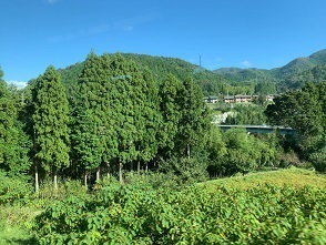 京都2022 (10).jpeg