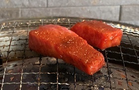 京都2022 (124).jpeg