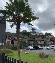 京都2022 (24).jpeg