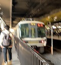京都2022 (5).jpeg