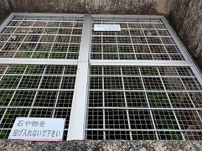 京都2022 (51).jpeg