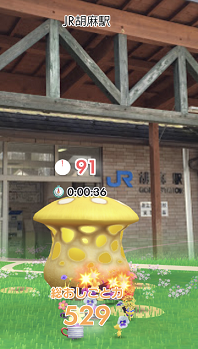 京都2022 (8).png