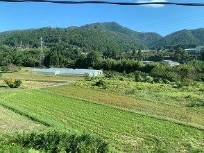 京都2022 (9).jpeg