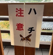 京都2022 (91).jpeg