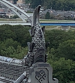 京都2022 (93).jpeg
