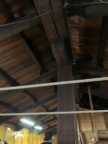 京都2023 (284).jpeg