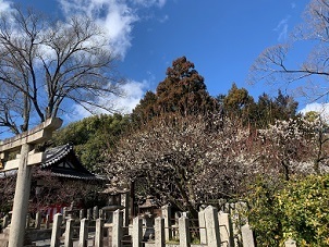 京都2023 (70).jpeg