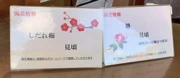 京都2023 (77).jpeg