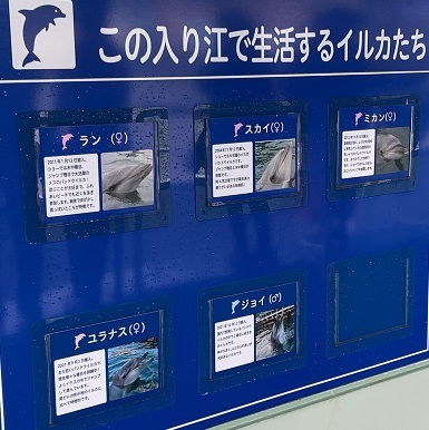 伊豆下田 (120).jpeg