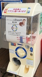 伊豆下田 (183).jpeg