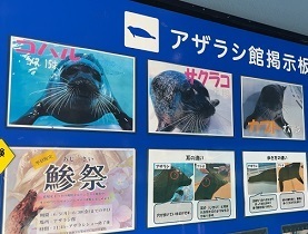 伊豆下田 (190).jpeg