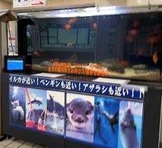 伊豆下田 (42).jpeg