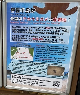 伊豆下田 (43).jpeg