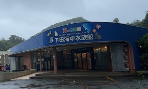 伊豆下田 (55).jpeg