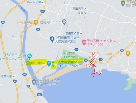 海と貝のミュージアム.JPG