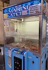 釧路 (71).jpeg