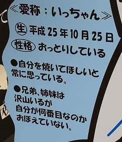 釧路 (78).jpeg