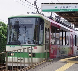 IMGP7779.JPG