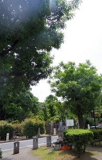 IMGP7780.JPG