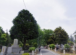 IMGP7783.JPG
